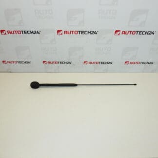 Antenna komplett Citroën C3 Pluriel 6561R7 656197