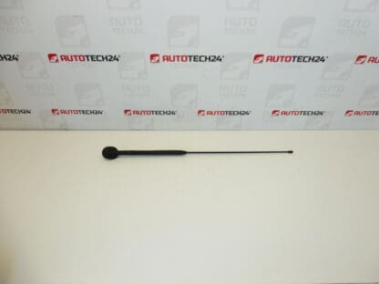 Antenna komplett Citroën C3 Pluriel 6561R7 656197