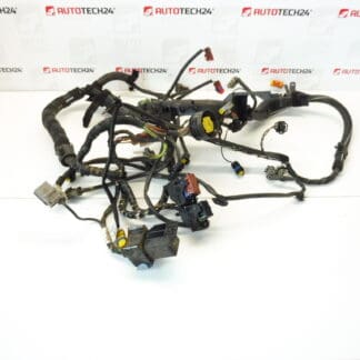 Motor kábelköteg Citroën Peugeot 2.2 HDI 9648542580 6558PA